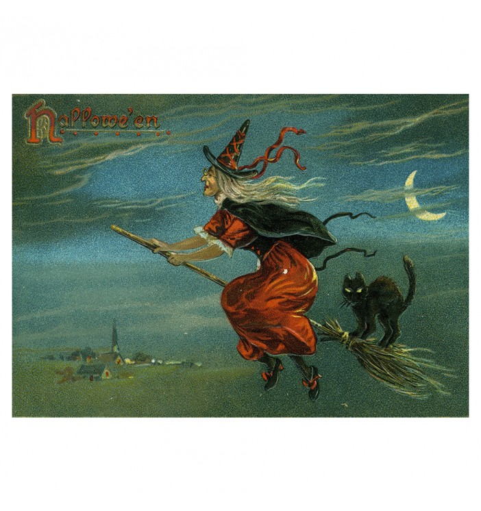 Halloween poster with a black cat and a witch on a broom.