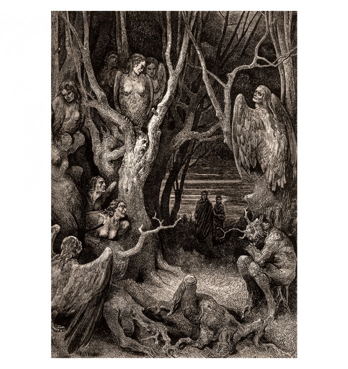 Harpies Forest Of Suicides by Gustave Dore.