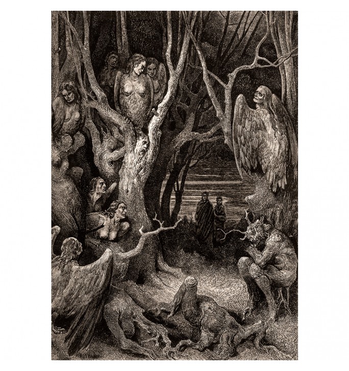 Harpies Forest Of Suicides by Gustave Dore.
