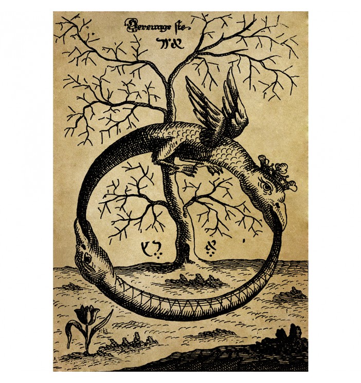 The Ouroboros snake eating its own tail.