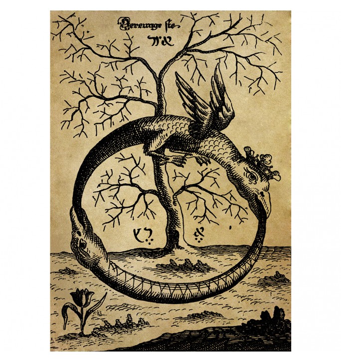 The Ouroboros snake eating its own tail.