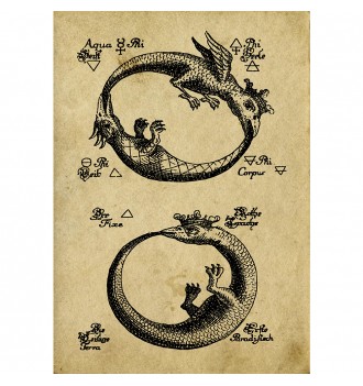 Two Ouroboros from an...