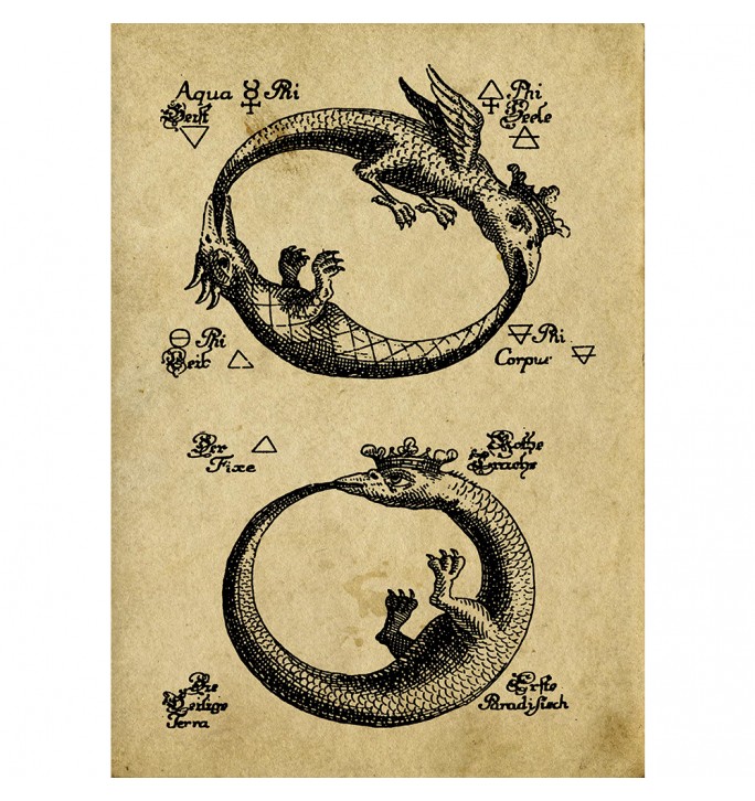 Two Ouroboros from an ancient alchemical treatise. Fine art print.