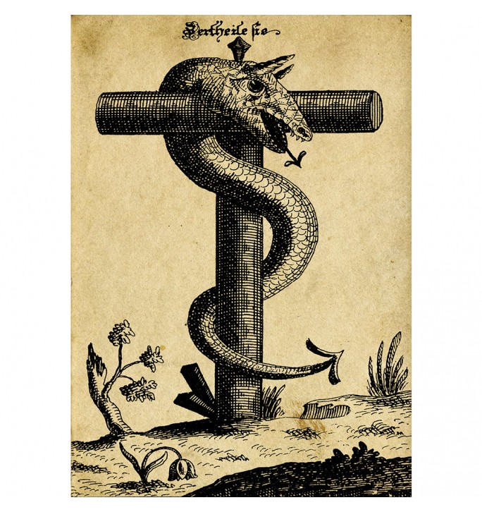 The crucified snake is an alchemical illustration.