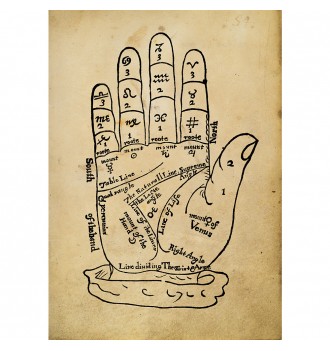 Palmistry is divination by...