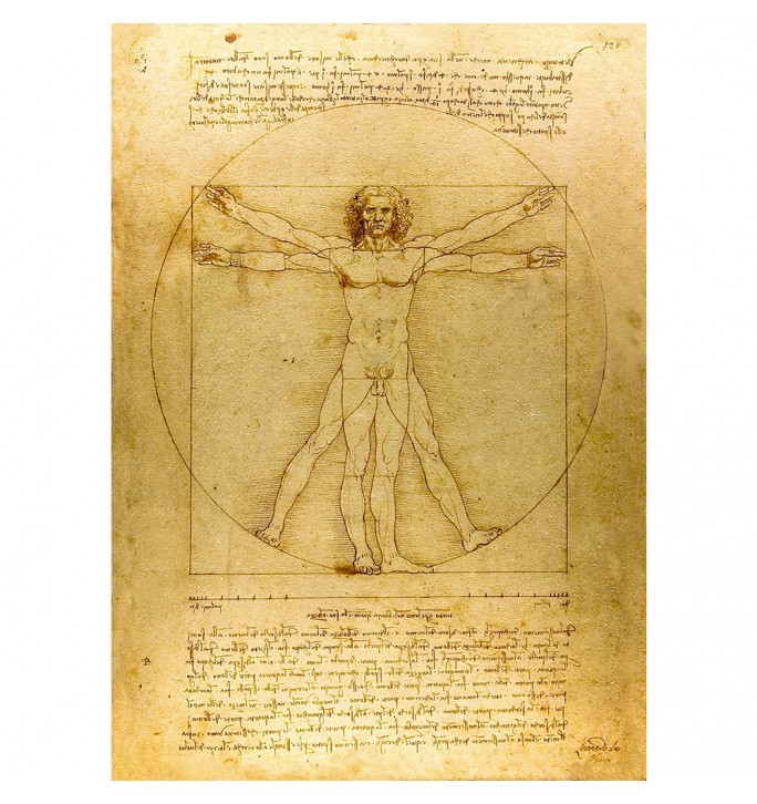 Vitruvian Man. Vitruve Luc Viatour. Leonardo da Vinci.