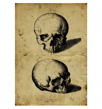 Two Skull.