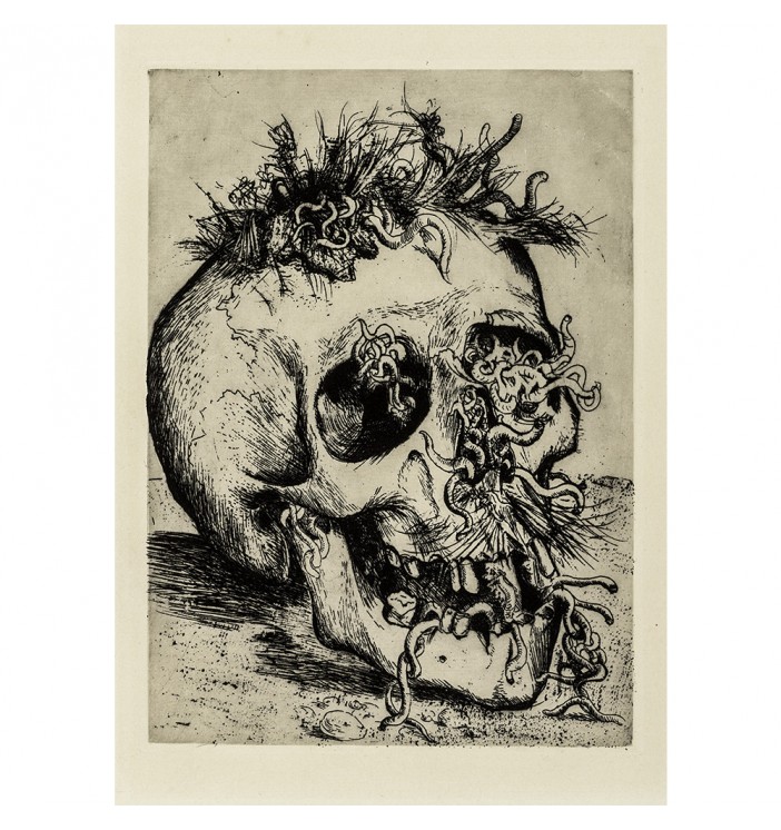 Otto Dix. Skull. Reproduction from the series horrors of war.
