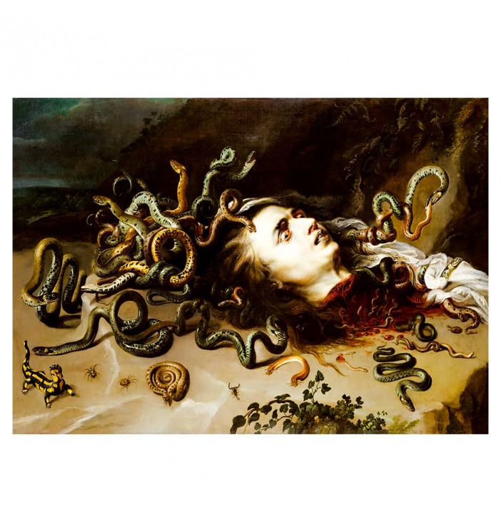 The head of Medusa.