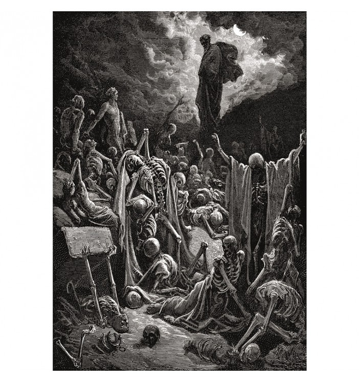 Vision of the Valley of Dry Bones by Gustave Doré.