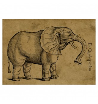 Vintage Elephant reproduction.