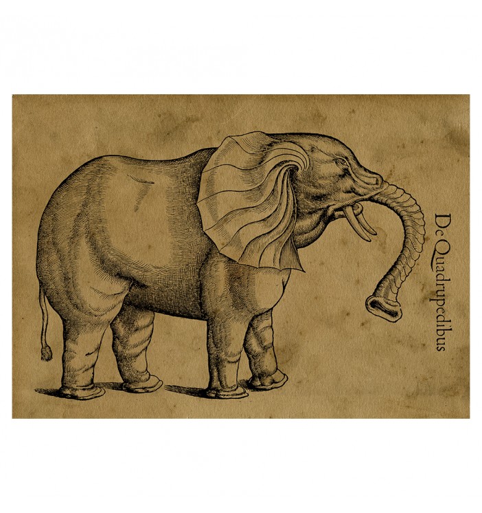 Vintage Elephant reproduction.