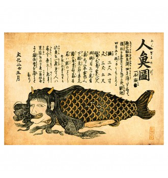 Ningyo is a Japanese mermaid.