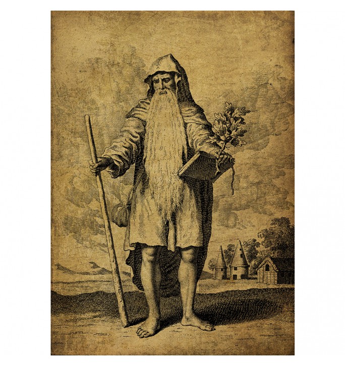 Vintage illustration the Chief Druid.