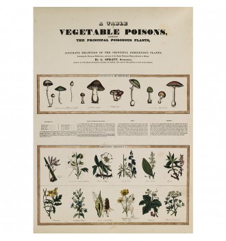 A Table of Vegetable Poisons.