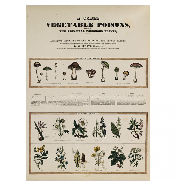 A Table of Vegetable Poisons.