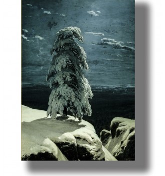 A moody winter night landscape with a lone pine tree heavy with snow, standing on rocky cliffs above dark water.
