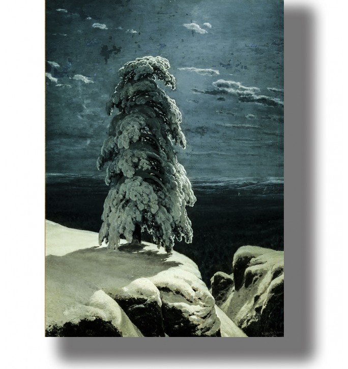 A moody winter night landscape with a lone pine tree heavy with snow, standing on rocky cliffs above dark water.