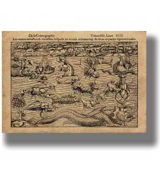 Old woodcut showing sea monsters, ships, strange fish, serpents, and northern land animals.