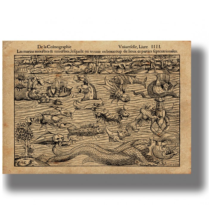 Old woodcut showing sea monsters, ships, strange fish, serpents, and northern land animals.