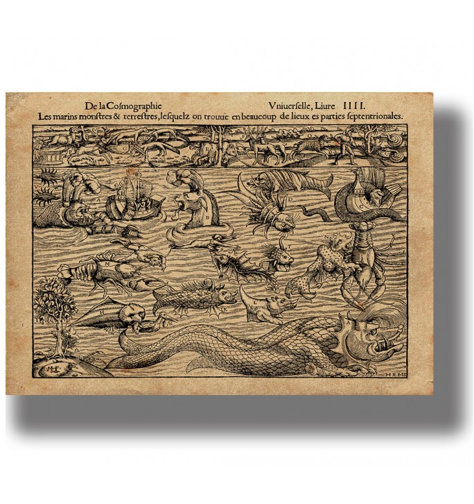 Sea animals and monsters on an ancient map.