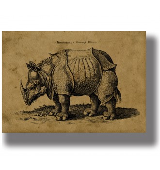 Antique engraving-style illustration of a rhinoceros by Albrecht Dürer on aged paper with German text at the top.