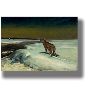 A solitary wolf standing on a frozen snowy landscape under a starry northern sky.