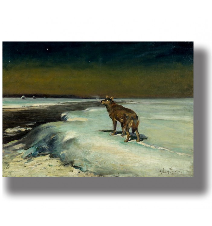 A solitary wolf standing on a frozen snowy landscape under a starry northern sky.