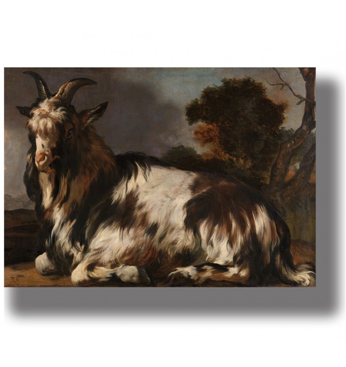 Oil painting of a brown and white goat resting on the ground, with curved horns and a dark landscape behind it.