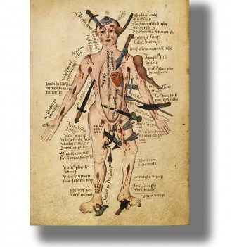 Vintage-style medieval anatomy diagram showing a human figure covered with annotated wounds and instruments on aged paper.