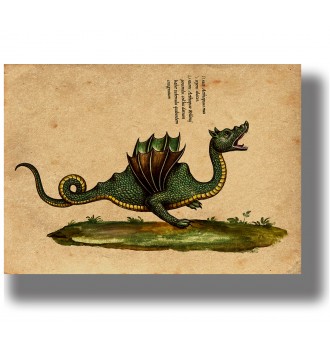 An ancient Dragon from the...