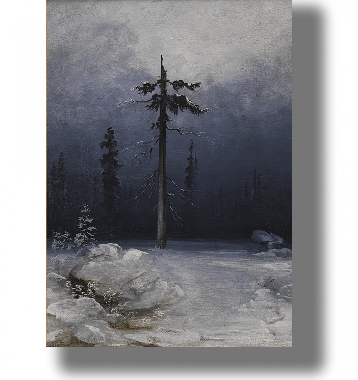 A tall lonely pine tree standing in deep snow with a dark winter forest in the background.