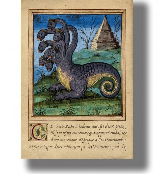 Old French book illustration of a seven-headed crowned serpent with two legs and a curled tail.