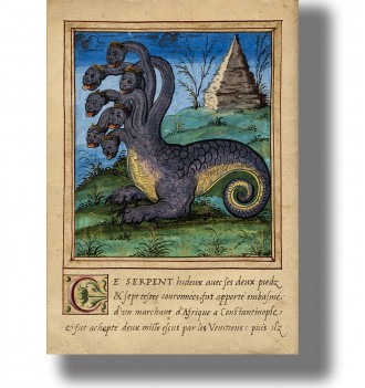 Seven-headed dragon from an...