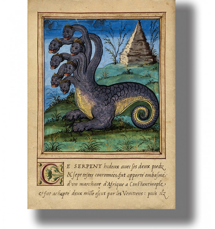 Old French book illustration of a seven-headed crowned serpent with two legs and a curled tail.