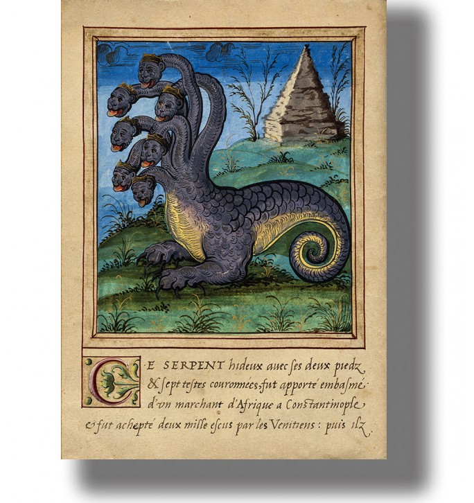 Old French book illustration of a seven-headed crowned serpent with two legs and a curled tail.
