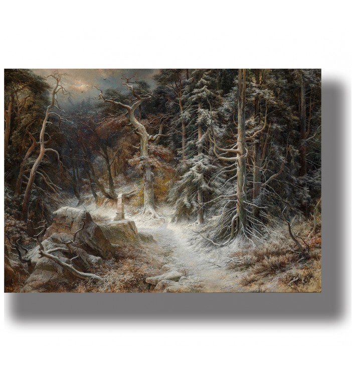 Dark winter woodland scene with frosted trees, a narrow path, and rocky ground covered with light snow.