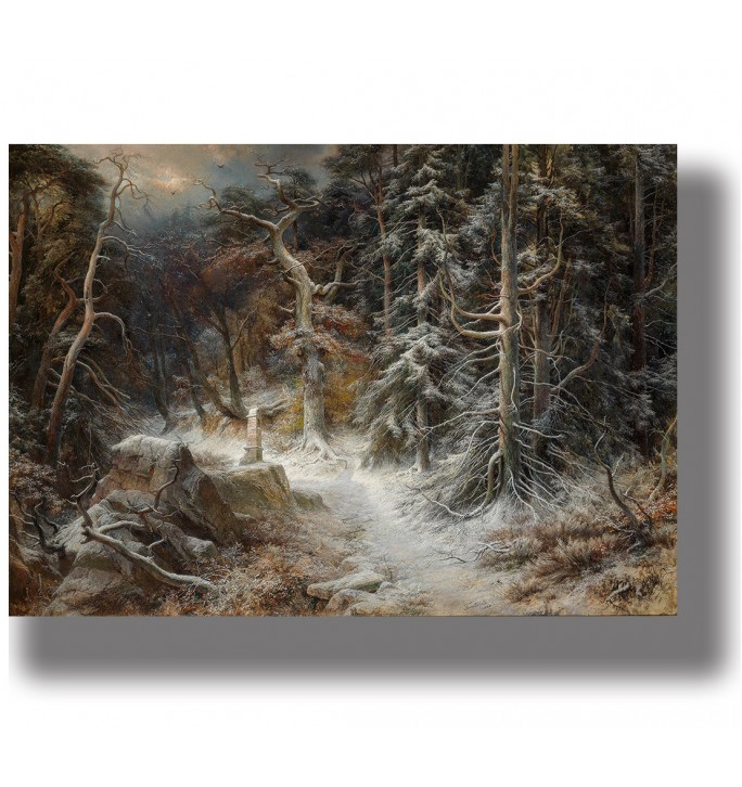 Dark winter woodland scene with frosted trees, a narrow path, and rocky ground covered with light snow.