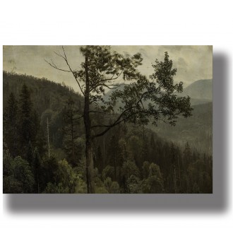 Dark mountain forest with tall trees, wooded slopes and misty peaks fading into the distance.