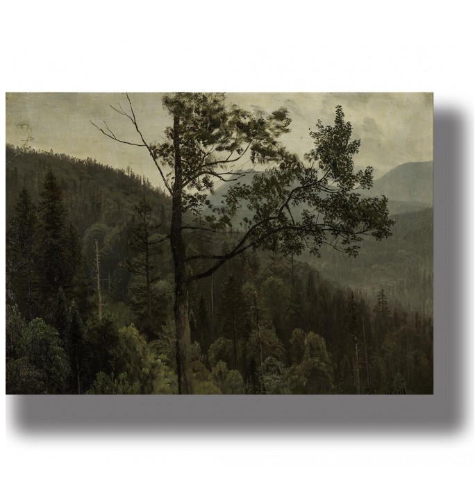 Trees covered mountains. Forest scenery artwork.