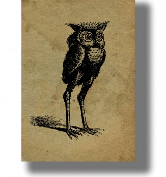 Occult illustration of the demon Stolas as an owl-like figure with a crown and long legs.