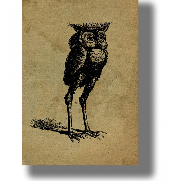 Occult illustration of the demon Stolas as an owl-like figure with a crown and long legs.