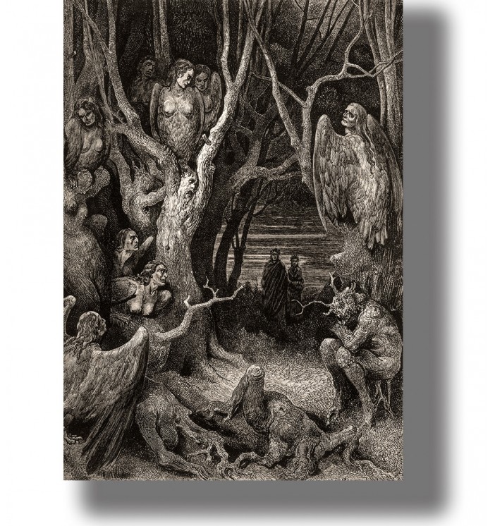 Black and white Gustave Doré illustration of harpies in a dark forest with twisted trees and small figures below.