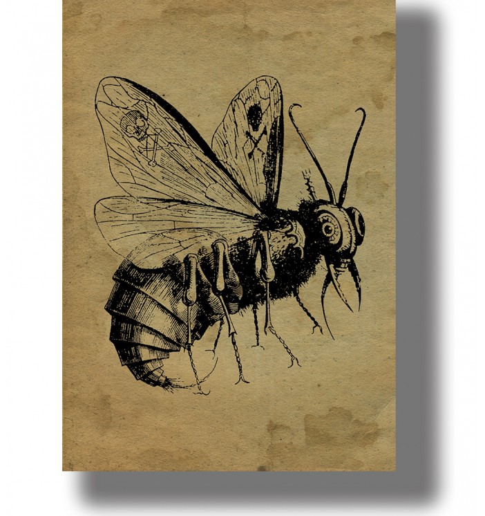 Old demonology image showing Beelzebub, the Lord of the Flies, as an insect creature.