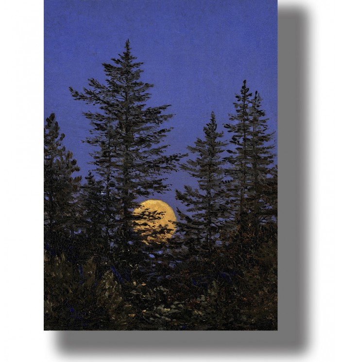 Full moon rising behind tall fir trees against a deep blue night sky, forest wall decor poster.