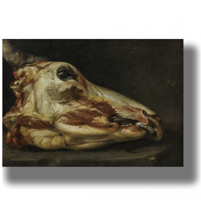 Dark still life painting showing the skinned head of a young bull against a black background.