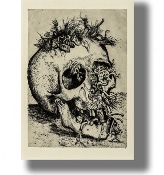 Otto Dix etching showing a decaying human skull covered with worms and insects.
