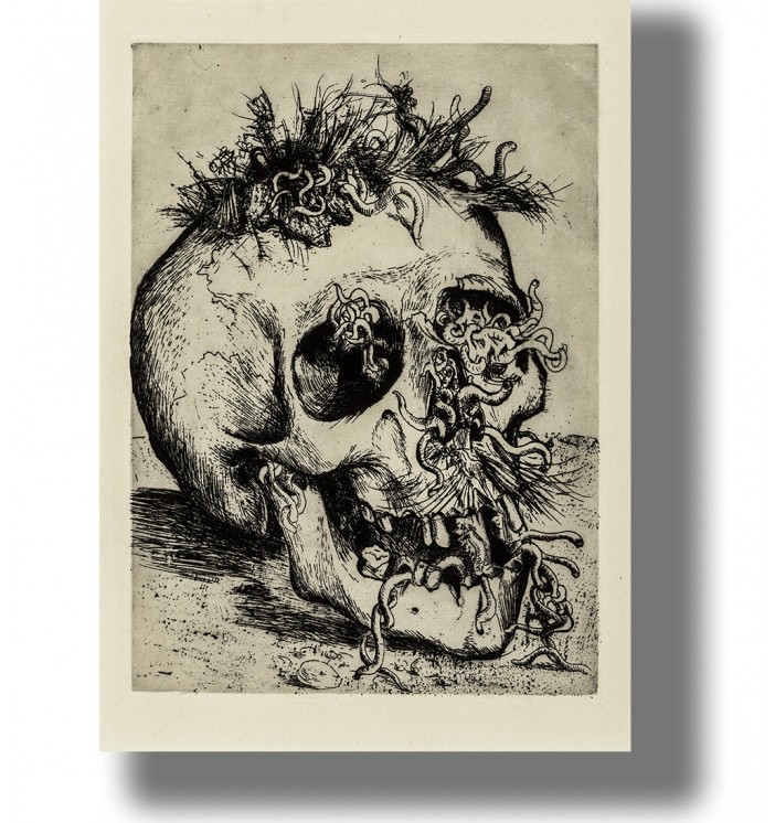 Otto Dix etching showing a decaying human skull covered with worms and insects.