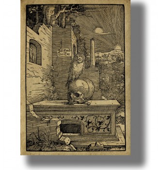 Owl sitting on a human skull on a gravestone in a cemetery scene.