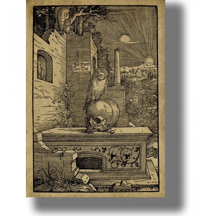 Owl sitting on a human skull on a gravestone in a cemetery scene.